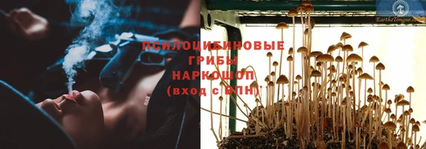 дурь Горняк