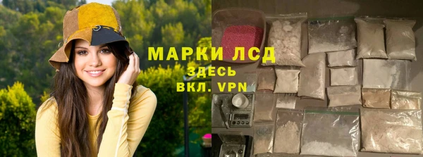 индика Вязьма