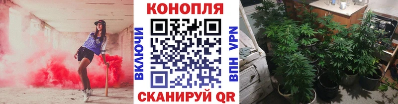 Шишки марихуана планчик  Купить где  Кубинка 